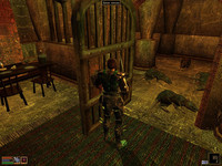 Прохождение квестов Дома Хлаалу от Эдрино Арети в TES III: Morrowind