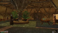 Квесты Великого Дома Хлаалу от Нилено Дорвайн в TES III: Morrowind. Часть №1
