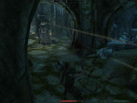 Ловушка в Забытой пещере в TES 5: Skyrim