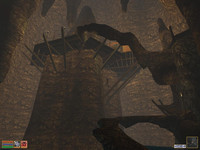 В пещере Намму. Прохождение Morrowind TRP