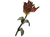 Красный горноцвет в RPG Skyrim (TES V)