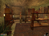 В Архиве Хлаалу. TES III: Morrowind