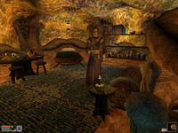 Чародейка Рейнель Увирит в TES 3: Morrowind