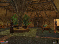 В Особняке Совета Хлаалу. TES III: Morrowind