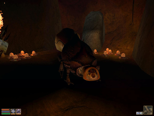 Матка квама в шахте Инаниус. TES III: Morrowind