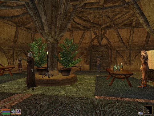 В Особняке Совета Хлаалу. TES III: Morrowind