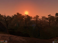 Горький Берег на закате в TES 3: Morrowind