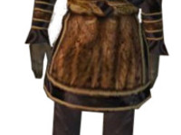 Дондос Дрилер в TES 3: Morrowind