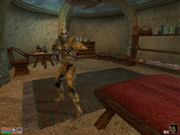 Лорд Банден Индарис в TES III: Morrowind