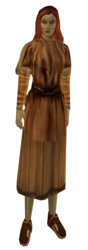 Эльмусса Дамори в TES 3: Morrowind