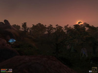 Нетчи в TES 3: Morrowind