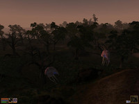 Самцы нетча в TES 3: Morrowind