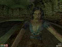 Корпрус и Ловчий корпруса в TES 3: Morrowind