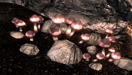 Кровавый венец в Skyrim (TES V)