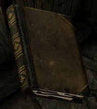 Как убивать прежде, чем убьют вас. Книга в играх серии The Elder Scrolls